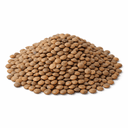 Brown Lentils