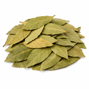 bay leaf