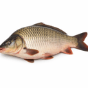 Carp (whole, cleaned)